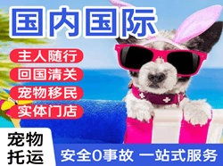 二连浩特机场托运国际宠物托运 【国
